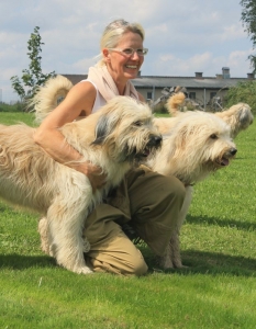 Schapudel Familienhund